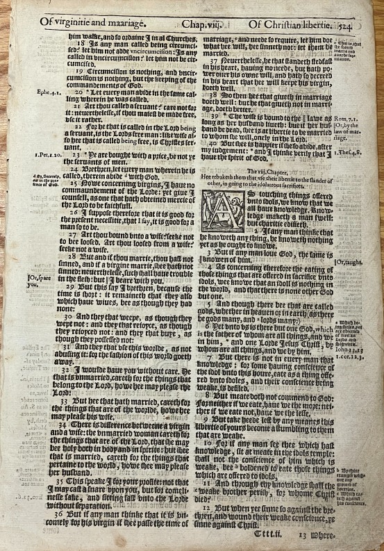 1595 Bishops' New Testament LeavesEmail Special